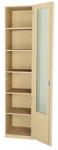 Schrank BxHxT 60 x 230 x 50 cm